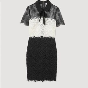 Sandro two tone lace dress in smallest size, classy and great for special events